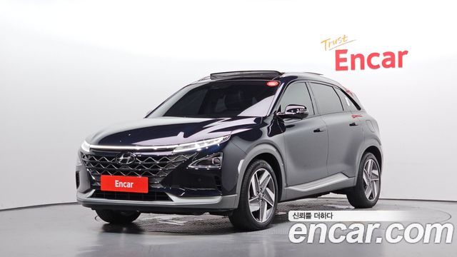 Hyundai Nexo Premium — пробег 53 573 км — фото 1 из 5