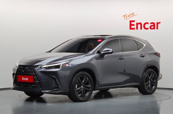 Lexus NX Premium — пробег 32 584 км — фото 1 из 5