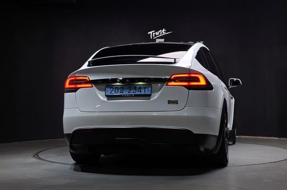 Tesla Model X AWD — пробег 52 650 км — фото 4 из 5