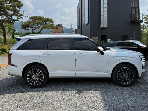 Hyundai Palisade Gasoline 2.5T 4WD 9-Seater Calligraphy — пробег 21 500 км — фото 5 из 5