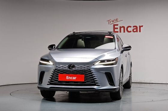 Lexus RX Luxury — пробег 16 608 км — фото 3 из 5