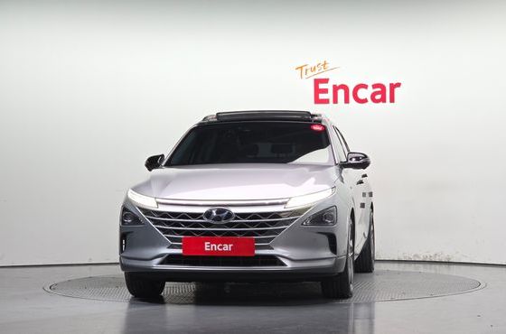 Hyundai Nexo Premium — пробег 151 365 км — фото 3 из 5