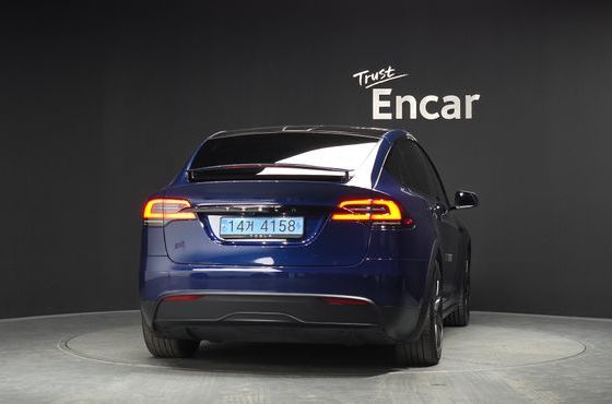Tesla Model X Long Range — пробег 62 739 км — фото 4 из 5