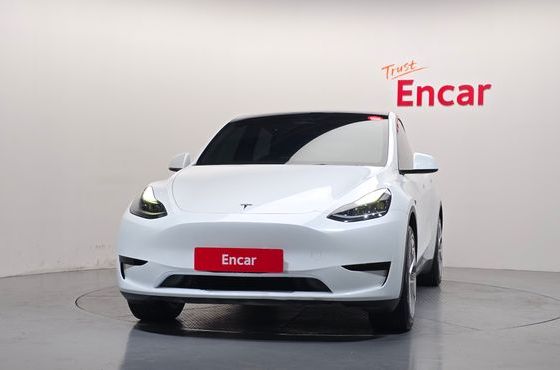 Tesla Model Y RWD — пробег 49 828 км — фото 3 из 5