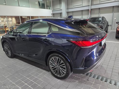 Lexus RX Luxury — пробег 8 100 км — фото 5 из 5