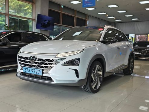 Hyundai Nexo Premium — пробег 99 543 км — фото 1 из 5