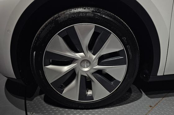 Tesla Model Y Long Range AWD — пробег 57 931 км — фото 5 из 5