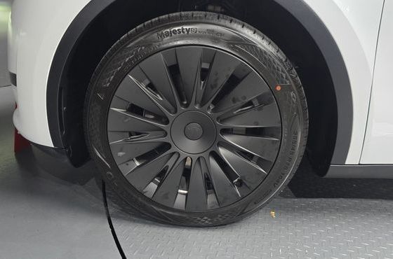 Tesla Model Y RWD — пробег 54 496 км — фото 5 из 5