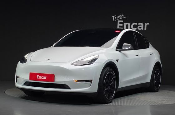 Tesla Model Y Long Range AWD — пробег 57 208 км — фото 1 из 5
