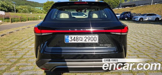 Lexus RX Premium — пробег 3 км — фото 5 из 5