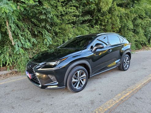 Lexus NX Supreme — пробег 137 200 км — фото 1 из 5
