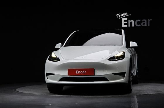 Tesla Model Y RWD — пробег 61 263 км — фото 3 из 5