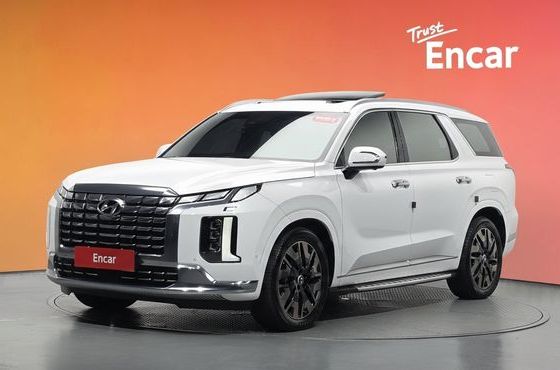 Hyundai Palisade Gasoline 3.8 4WD VIP — пробег 36 439 км — фото 1 из 5