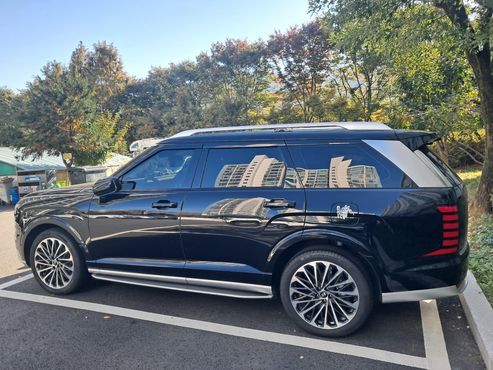 Hyundai Palisade Gasoline 2.5T 4WD 9-Seater Calligraphy — пробег 11 000 км — фото 3 из 5