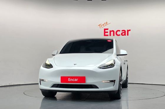 Tesla Model Y Long Range AWD — пробег 50 543 км — фото 3 из 5
