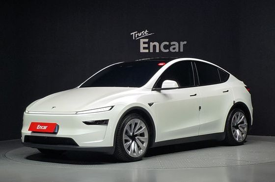 Tesla Model Y Long Range AWD — пробег 14 003 км — фото 1 из 5