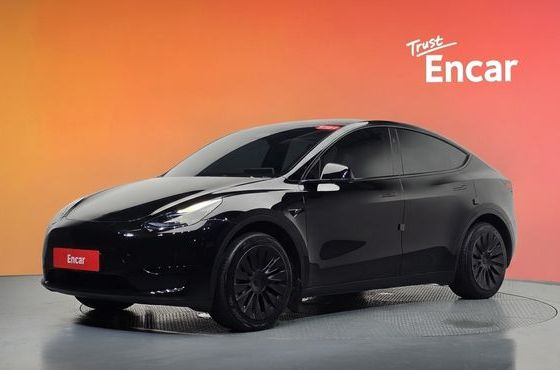 Tesla Model Y RWD — пробег 78 141 км — фото 1 из 5