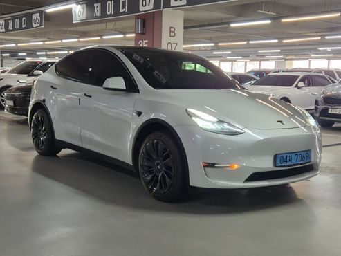 Tesla Model Y Long Range AWD — пробег 90 157 км — фото 1 из 5