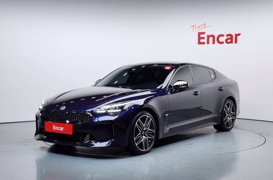 Kia Stinger 2.5 Masters — пробег 42 584 км — фото 1 из 5