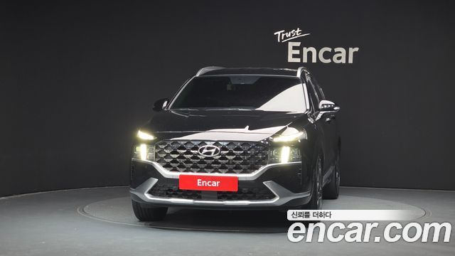 Hyundai Santafe Diesel 2.2 4WD Calligraphy — пробег 169 637 км — фото 3 из 5