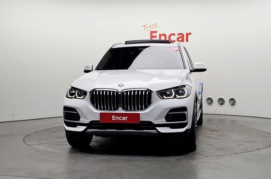 BMW X5 xDrive 40i xLine — пробег 100 497 км — фото 3 из 5