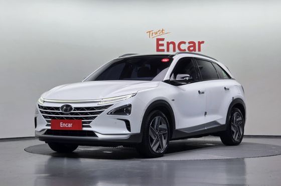 Hyundai Nexo Premium — пробег 53 476 км — фото 1 из 5