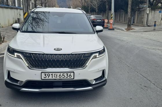Kia Carnival 9-Seater Noblesse — пробег 52 540 км — фото 2 из 5