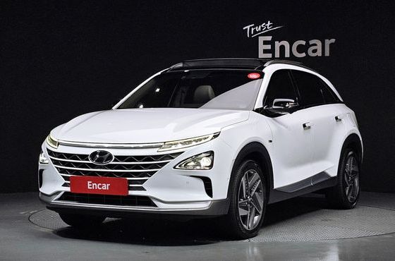 Hyundai Nexo Premium — пробег 117 447 км — фото 1 из 5