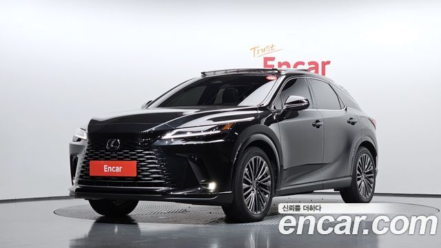 Lexus RX Luxury — пробег 9 038 км — фото 1 из 5