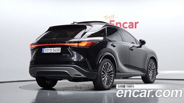 Lexus RX Luxury — пробег 9 038 км — фото 2 из 5