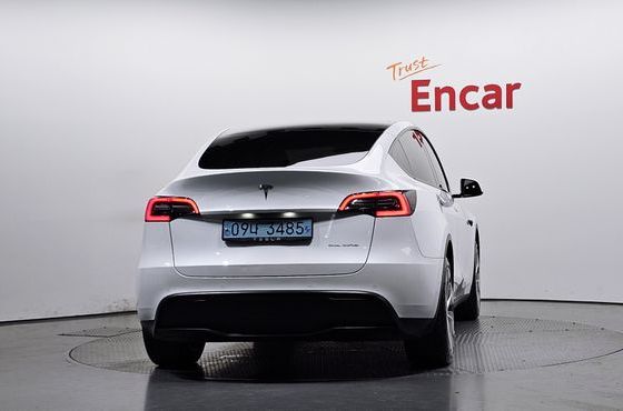 Tesla Model Y Long Range AWD — пробег 168 766 км — фото 4 из 5