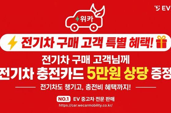 Kia EV6 Long Range Light — пробег 16 683 км — фото 5 из 5