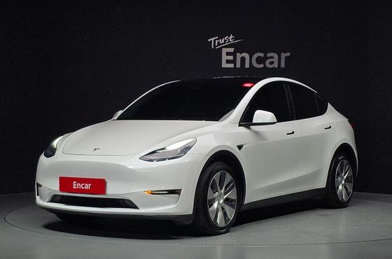 Tesla Model Y Long Range AWD — пробег 81 638 км — фото 1 из 5