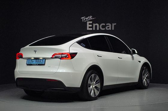 Tesla Model Y Long Range AWD — пробег 81 638 км — фото 2 из 5