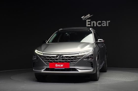 Hyundai Nexo Premium — пробег 134 049 км — фото 3 из 5