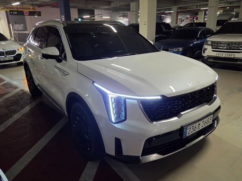 Kia Sorento HEV 1.6 2WD Noblesse — пробег 800 км — фото 3 из 5