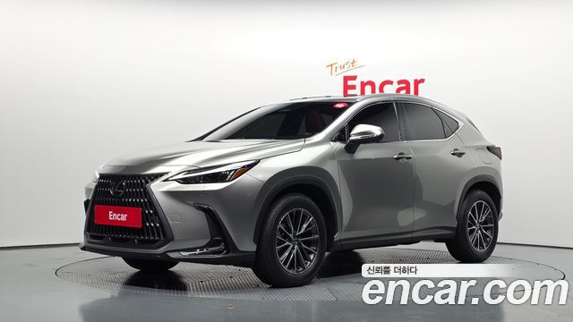 Lexus NX Premium — пробег 17 488 км — фото 1 из 5