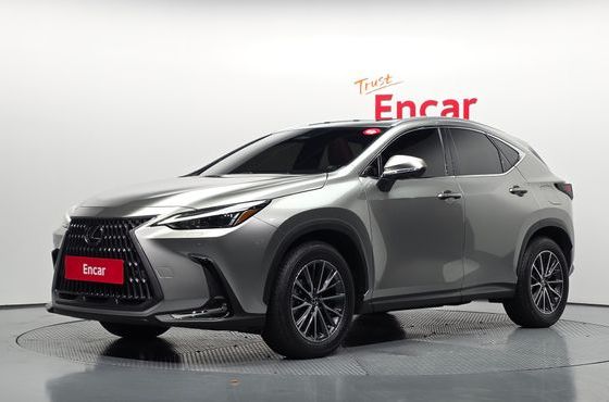 Lexus NX Premium — пробег 17 488 км — фото 1 из 5