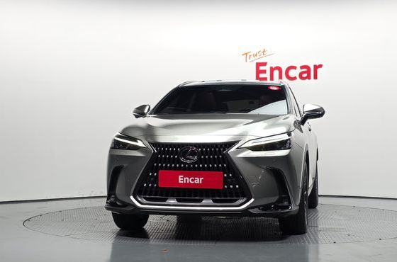 Lexus NX Premium — пробег 17 488 км — фото 3 из 5