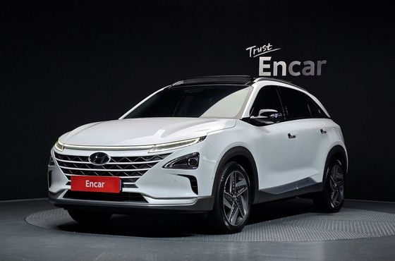 Hyundai Nexo Premium — пробег 41 791 км — фото 1 из 5