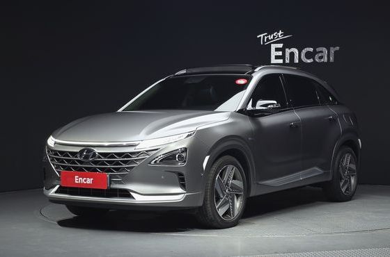 Hyundai Nexo Premium — пробег 68 122 км — фото 1 из 5