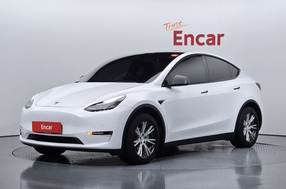Tesla Model Y Long Range AWD — пробег 96 398 км — фото 1 из 5