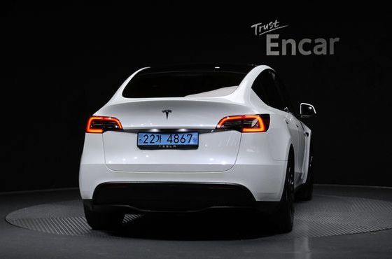 Tesla Model Y RWD — пробег 49 819 км — фото 4 из 5