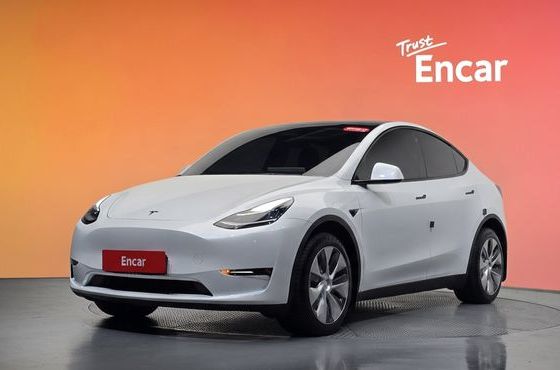 Tesla Model Y Long Range AWD — пробег 91 569 км — фото 1 из 5
