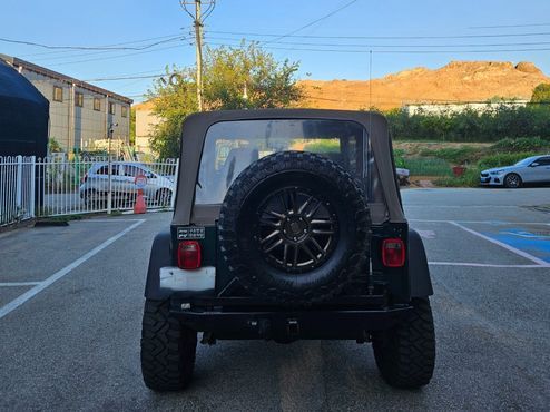 Jeep Wrangler 4.0 — пробег 171 788 км — фото 4 из 5