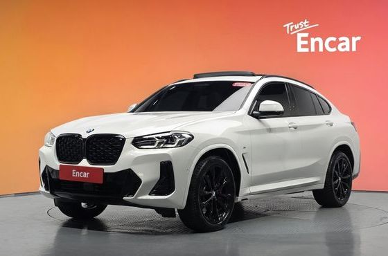 BMW X4 xDrive20i M Sport Pro Special Edition — пробег 18 725 км — фото 1 из 5