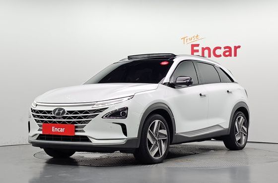 Hyundai Nexo Premium — пробег 118 433 км — фото 1 из 5