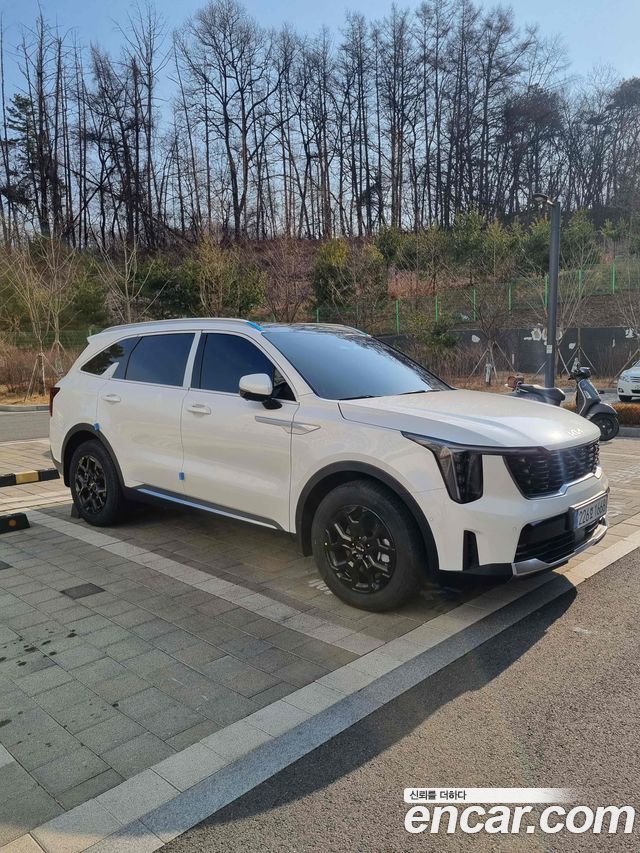 Kia Sorento HEV 1.6 2WD Noblesse — пробег 8 125 км — фото 2 из 5