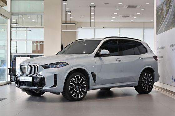 BMW X5 xDrive 30d M Sport — пробег 16 965 км — фото 1 из 5