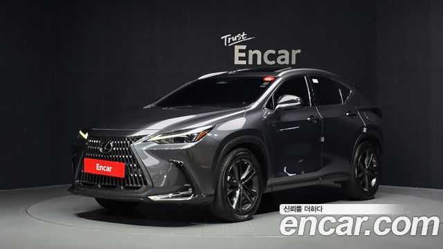 Lexus NX Premium — пробег 94 570 км — фото 1 из 5